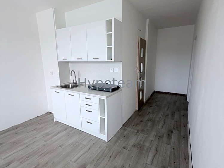Pronájem bytu 1+1, 42 m² (1 z 19)