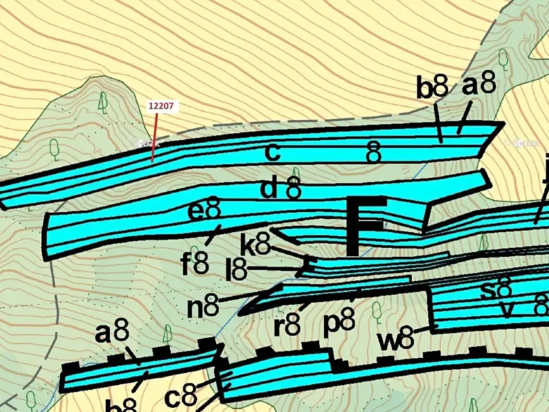 Dražba lesa 1163 m², Strání – náhled fotky 3