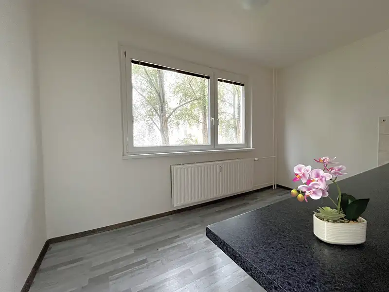 Pronájem bytu 3+1 65 m², Česká Lípa – náhled fotky 2