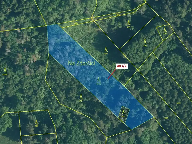 Dražba lesa 2895 m², Zavlekov – náhled fotky 2