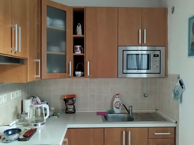 Pronájem bytu 1+1 39 m², Ostrava – náhled fotky 3
