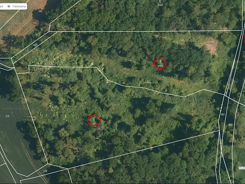 Prodej lesa 21606 m², Kovanec – náhled fotky 2