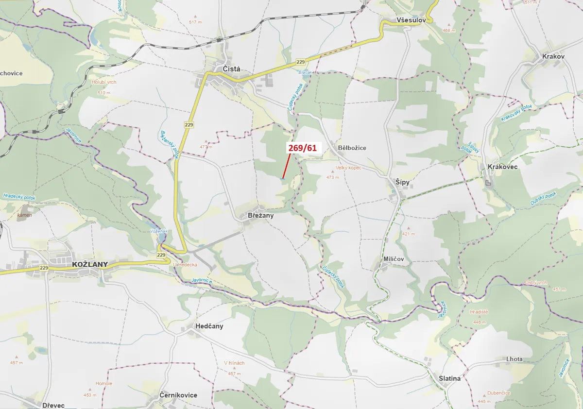 Dražba lesa 425 m²