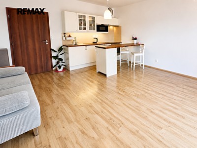 Pronájem bytu 1+kk, 32 m² (2 z 11)
