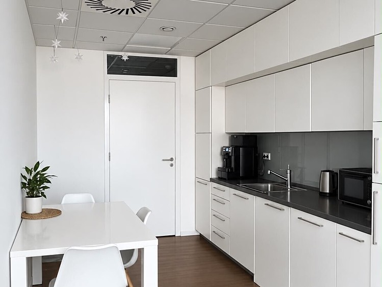 Pronájem komerčního prostoru, 337 m² (7 z 8)