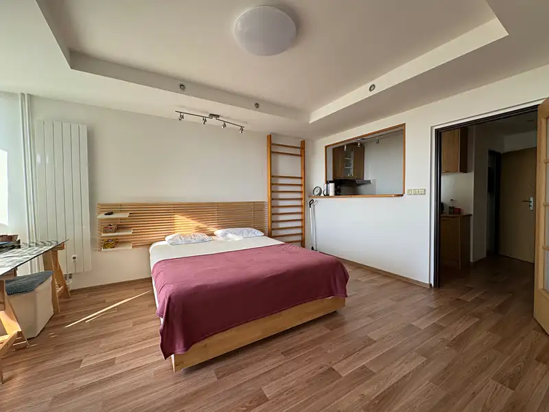 Pronájem bytu 1+kk 31 m², Liberec – náhled fotky 3