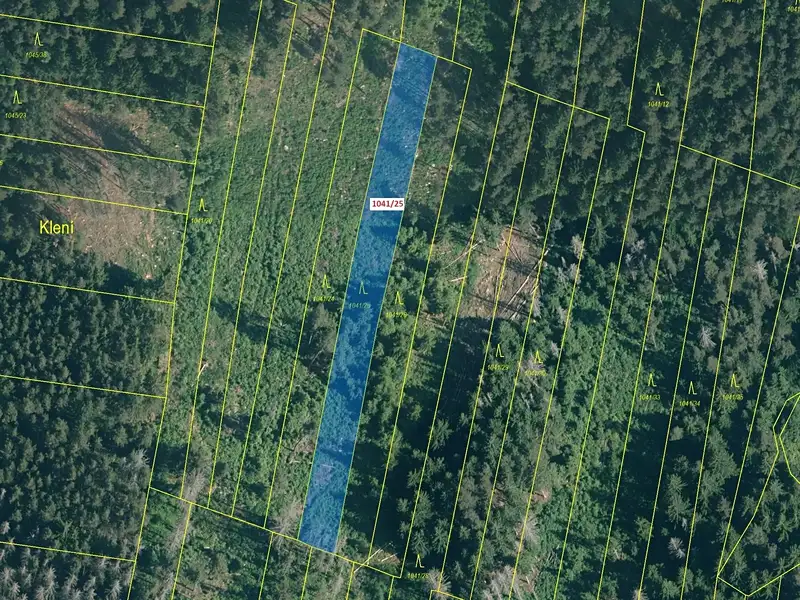 Dražba lesa 2082 m², Prachatice – náhled fotky 2