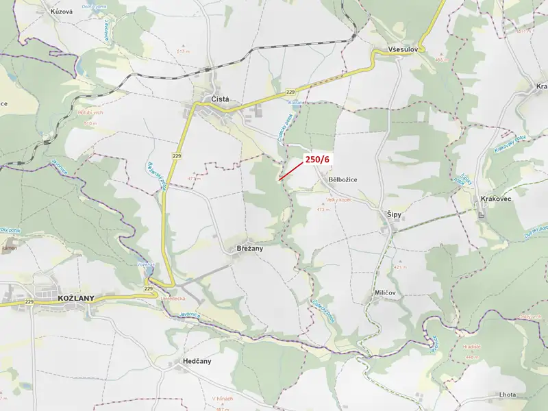 Dražba lesa 9 m², Břežany – náhled fotky 1