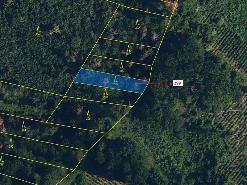 Dražba lesa 482 m², Jaroměřice nad Rokytnou – náhled fotky 2