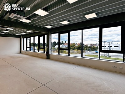 Комерційне приміщення в оренду, 235 м² (2 з 11)