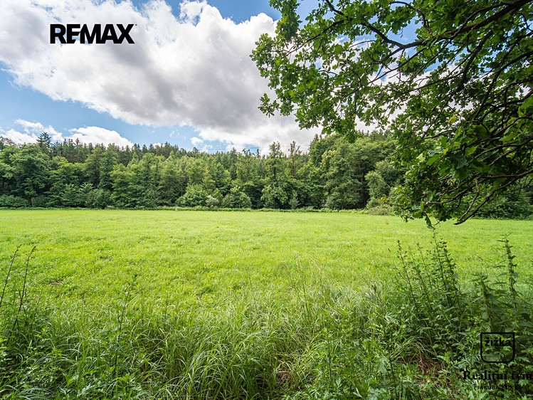 Grundstück zum Kauf, 1.169 m² (11 von 19)