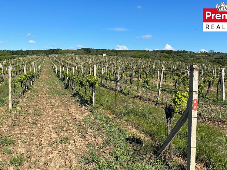 Grundstück zum Kauf, 86.440 m² (6 von 22)