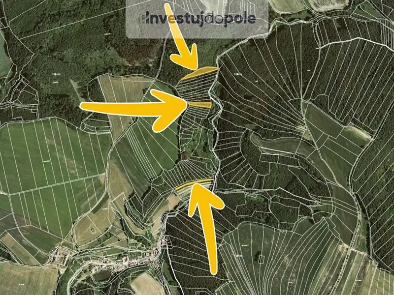 Prodej lesa 4290 m², Letovice – náhled fotky 2