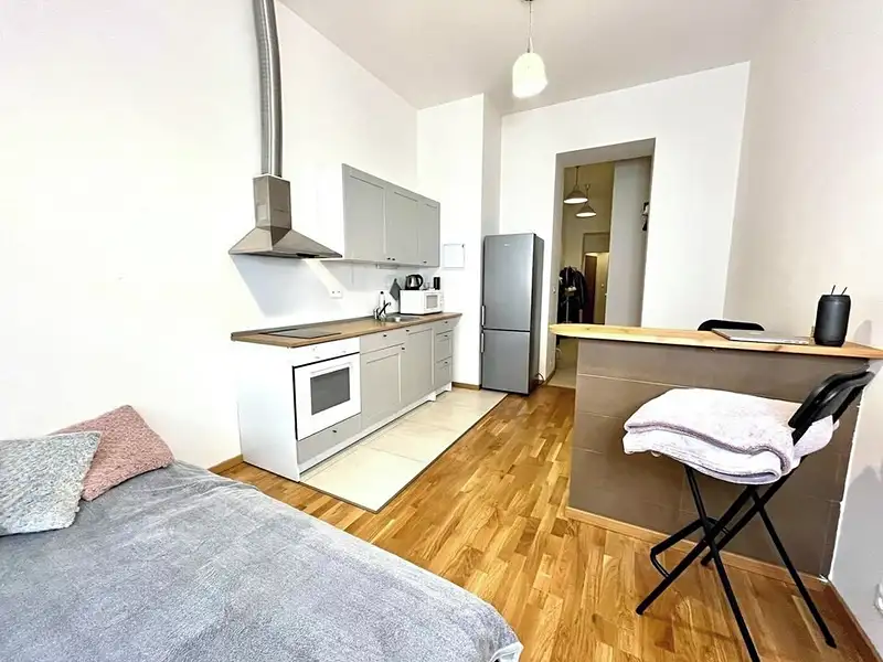 Pronájem bytu 1+kk 35 m², Praha – náhled fotky 2