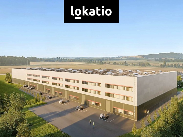 Ostatní