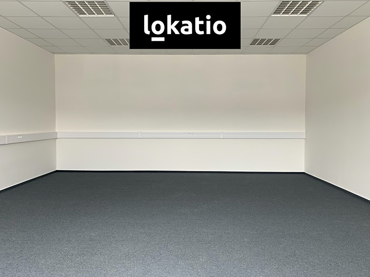 Pronájem komerčního prostoru, 4 766 m² (20 z 26)