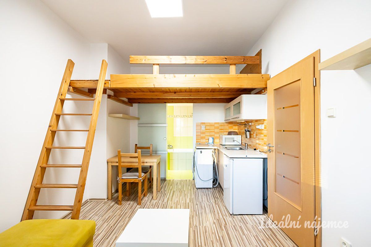 Pronájem bytu 1+kk 20 m²