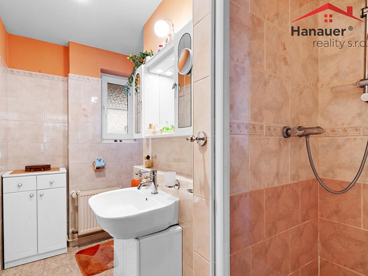 Prodej domu, 310 m² (17 z 54)