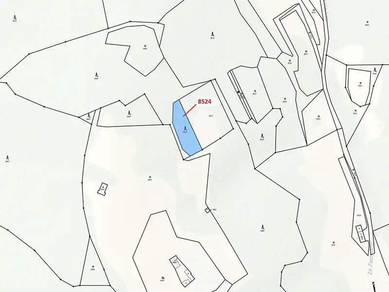 Dražba lesa 939 m², Vsetín – náhled fotky 3
