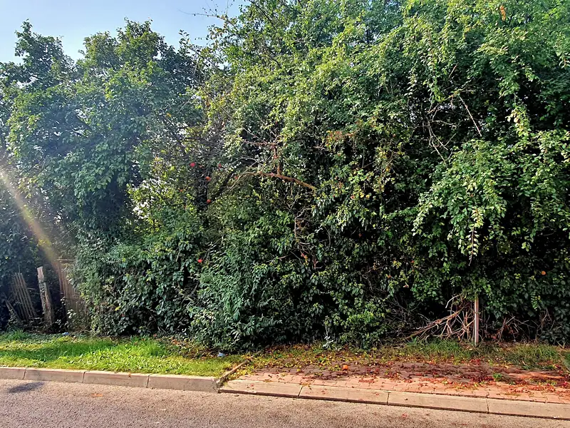Prodej stavebního pozemku 316 m², Praha – náhled fotky 1