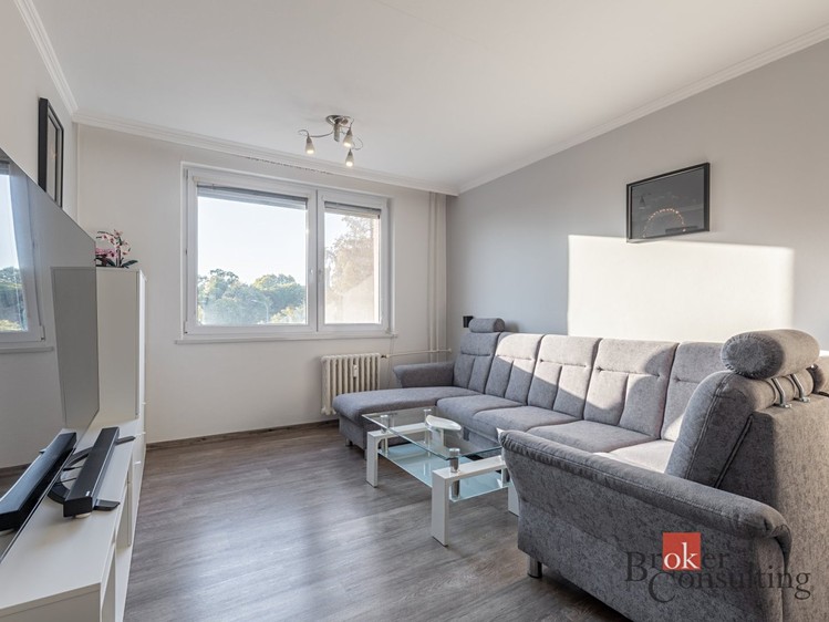 Prodej bytu 3+1, 63 m² (2 z 13)