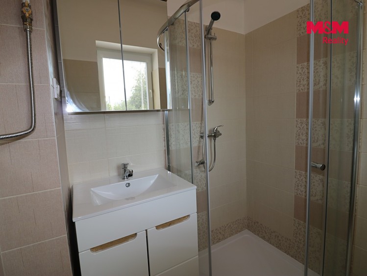 Pronájem bytu 1+1, 47 m² (4 z 11)