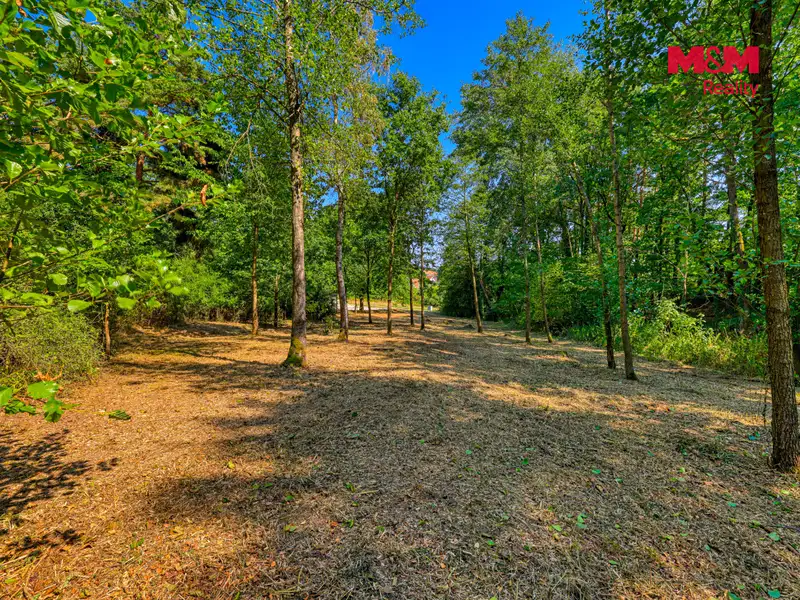 Prodej zahrady 2248 m², Velký Bor – náhled fotky 2