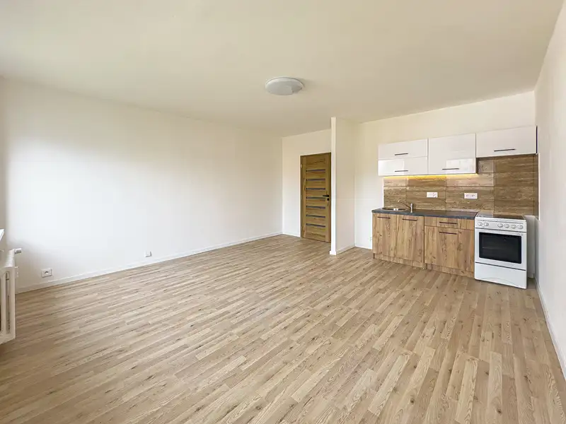 Prodej bytu 2+kk 48 m², Teplice – náhled fotky 3