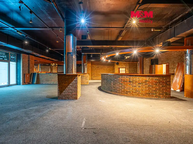Prodej obchodního prostoru 324 m², Praha – náhled fotky 1