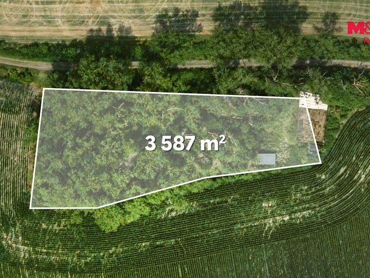 Ділянка на продаж, 8 199 м² (3 з 14)