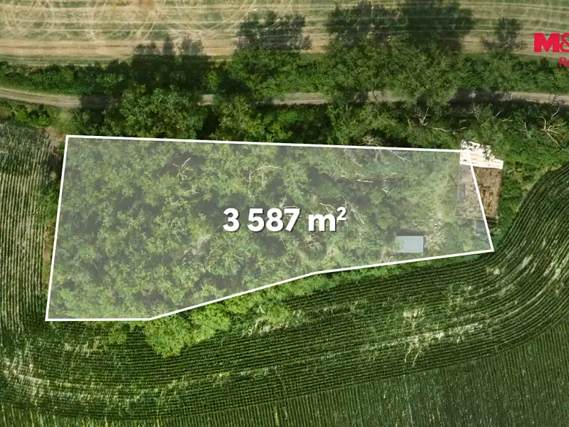 Prodej lesa 8199 m², Libochovice – náhled fotky 3