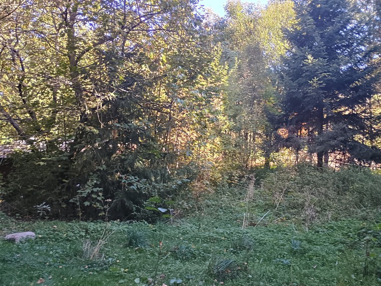 Grundstück zum Kauf, 3.317 m² (4 von 4)