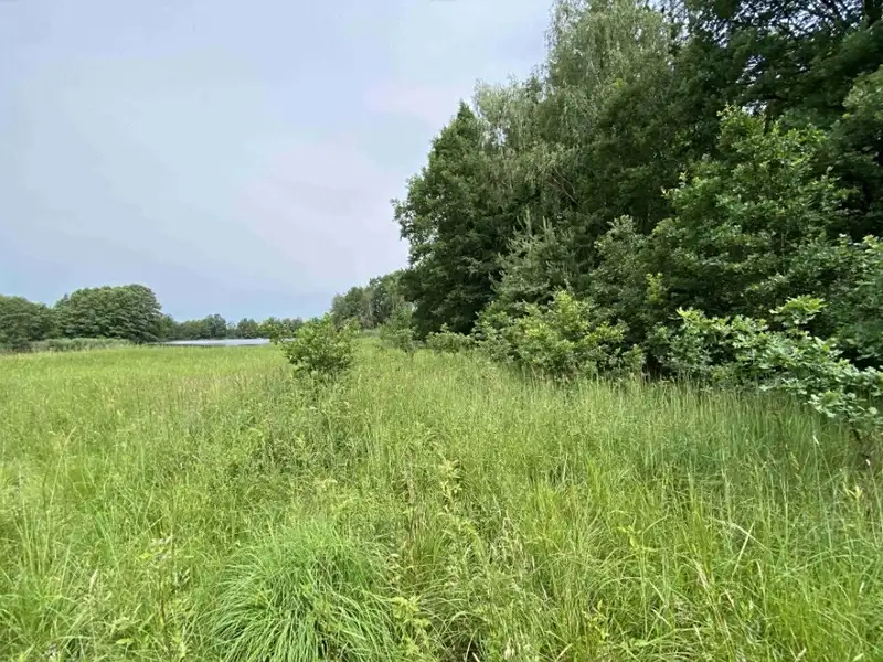 Dražba louky 1639 m², Čejetice – náhled fotky 2