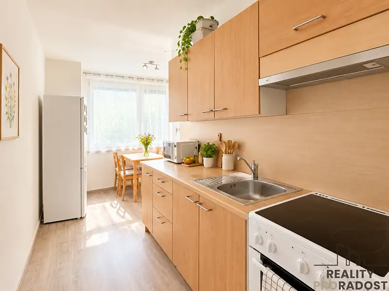 Pronájem bytu 1+1, 39 m², Hodonín