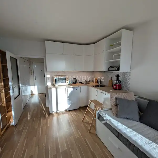 Pronájem bytu 1+kk 27 m², Praha – náhled fotky 2