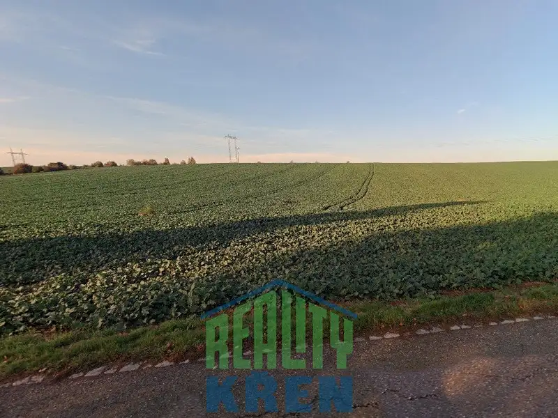 Prodej pole 132775 m², Plaňany – náhled fotky 1