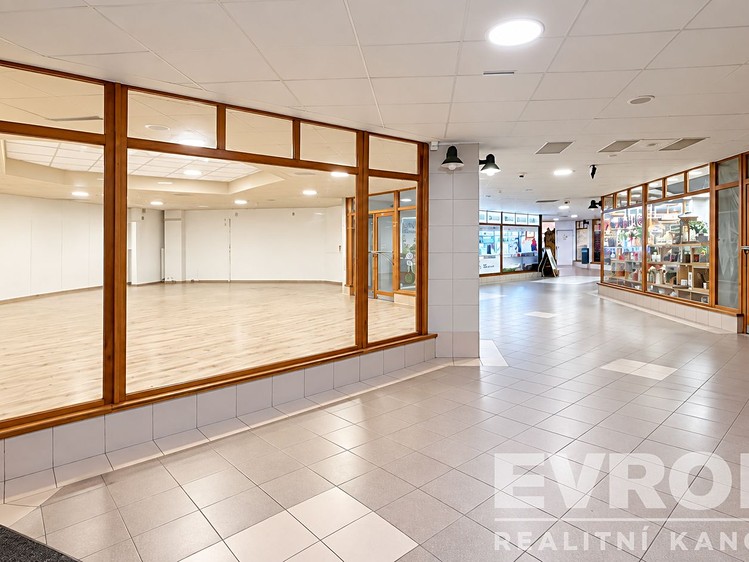 Pronájem komerčního prostoru, 132 m² (5 z 8)