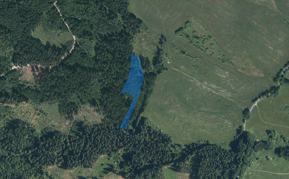 Dražba lesa 7291 m², Dlouhý Újezd – fotka 1 z 3