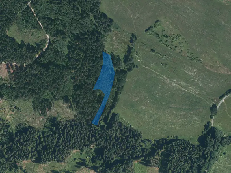 Dražba lesa 7291 m², Dlouhý Újezd – náhled fotky 1