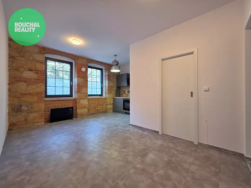 Pronájem bytu 1+1 40 m², Plzeň – náhled fotky 3