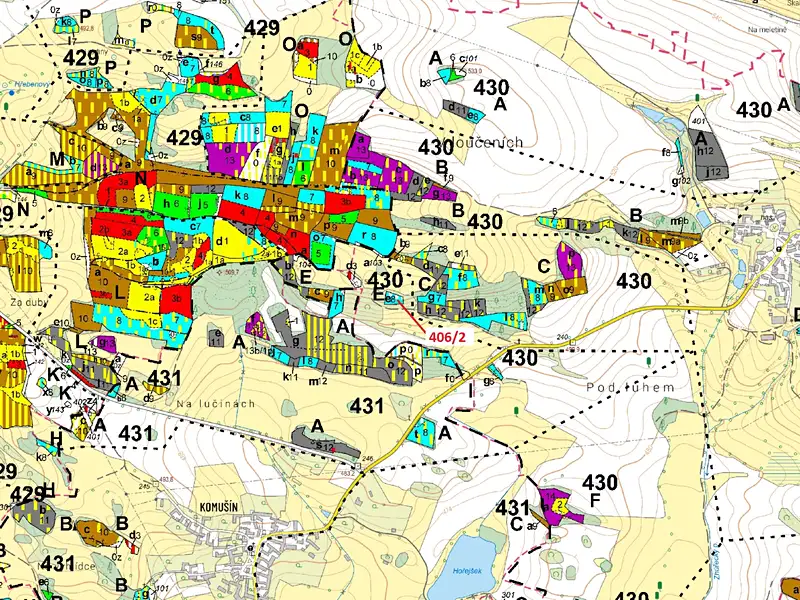 Dražba lesa 1583 m², Velký Bor – náhled fotky 3