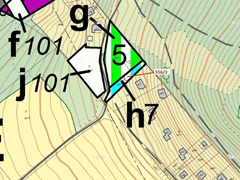 Dražba lesa 326 m², Sýkořice – náhled fotky 3