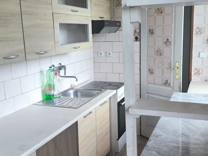 Pronájem bytu 3+kk 60 m², Mříčná – náhled fotky 3