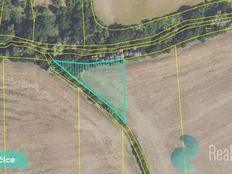 Prodej pole 2891 m², Drahelčice – náhled fotky 1