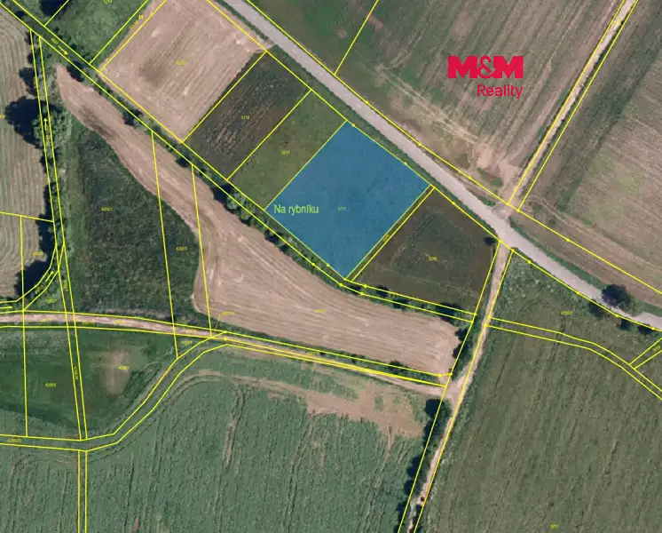Prodej pole 39475 m², Senorady – náhled fotky 1
