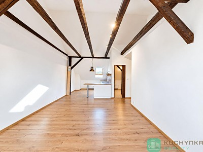 Pronájem bytu 1+kk, 47 m² (3 z 11)