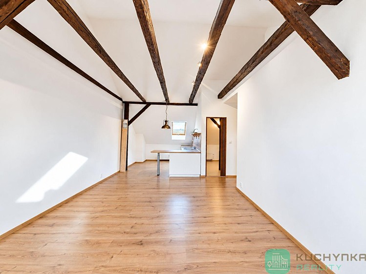 Pronájem bytu 1+kk, 47 m² (3 z 11)