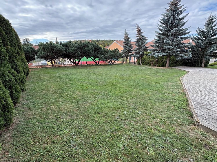 Ostatní