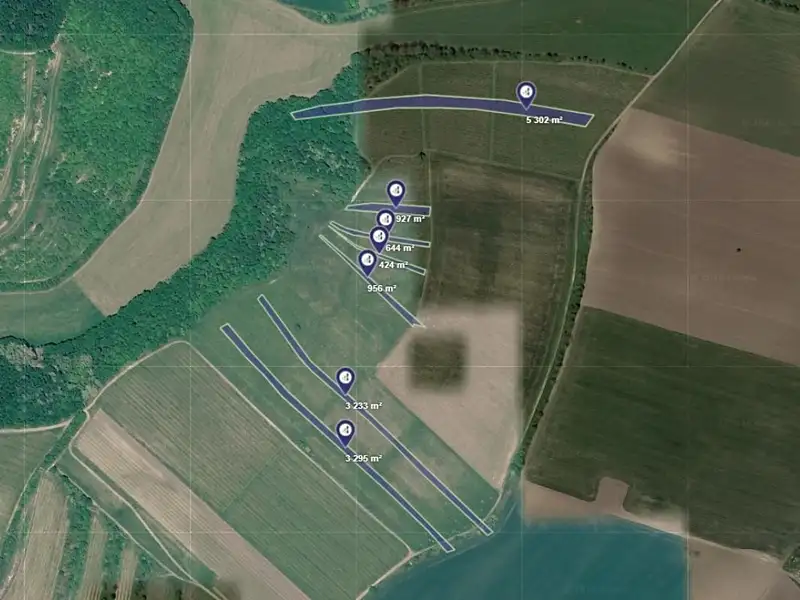 Prodej pole 14781 m², Brumovice – náhled fotky 1