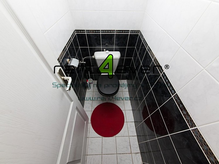 Pronájem bytu 4+kk, 150 m² (13 z 15)